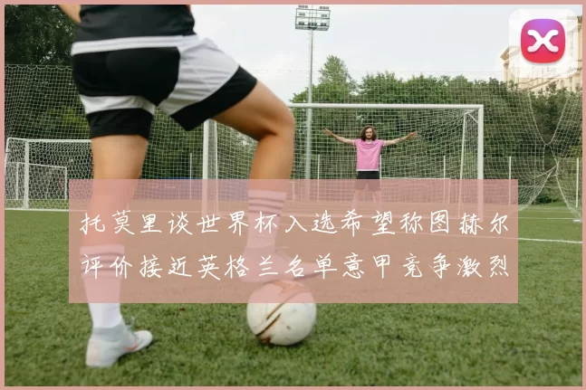 托莫里谈世界杯入选希望称图赫尔评价接近英格兰名单意甲竞争激烈